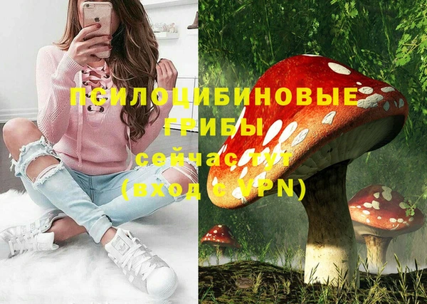шишки Абинск